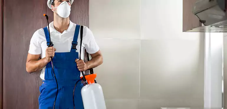 Why Fullerton Homeowners Choose Us When Pests Make Selling Difficult